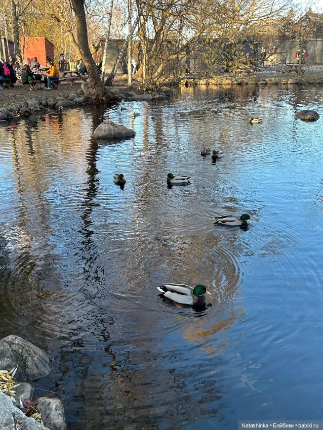 Fashion Dolls 428 — Туризм и путешествия: фотоотчеты из поездок