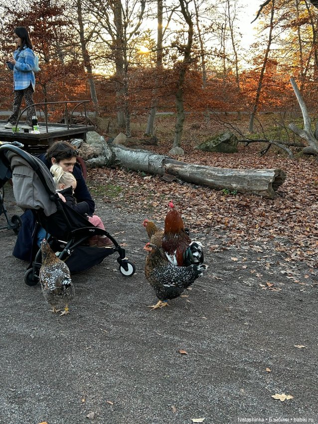 Fashion Dolls 428 — Туризм и путешествия: фотоотчеты из поездок