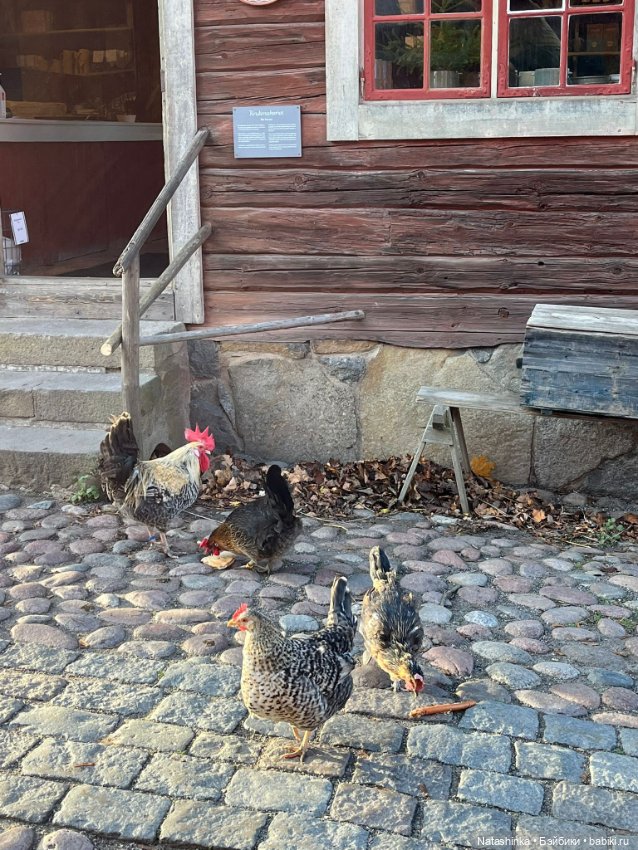 Fashion Dolls 428 — Туризм и путешествия: фотоотчеты из поездок