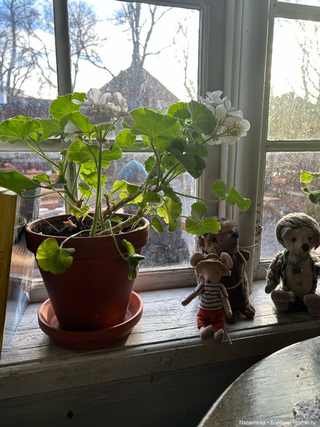 Fashion Dolls 428 — Туризм и путешествия: фотоотчеты из поездок