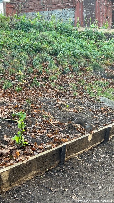 Fashion Dolls 428 — Туризм и путешествия: фотоотчеты из поездок