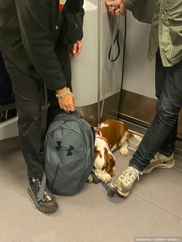 Fashion Dolls 428 — Туризм и путешествия: фотоотчеты из поездок