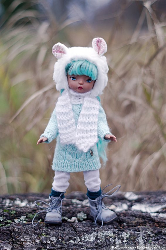 Ноябрь в старой крепости — Разные шарнирные куклы (не БЖД): редкие