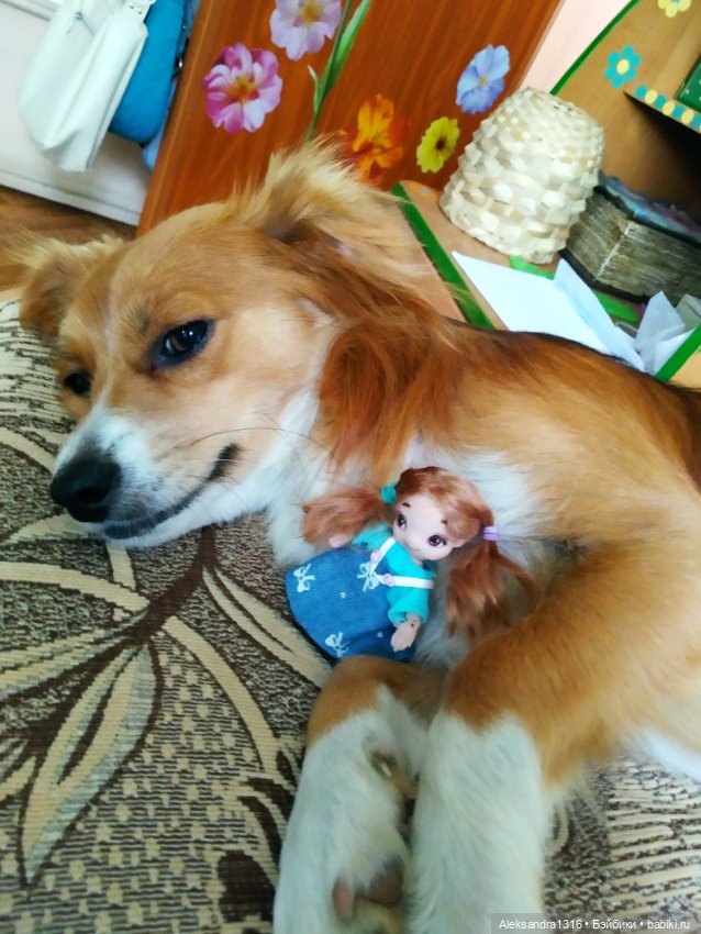 Просто Маня🐶 — Болталка и разговоры обо всем: жизнь (фото 6)