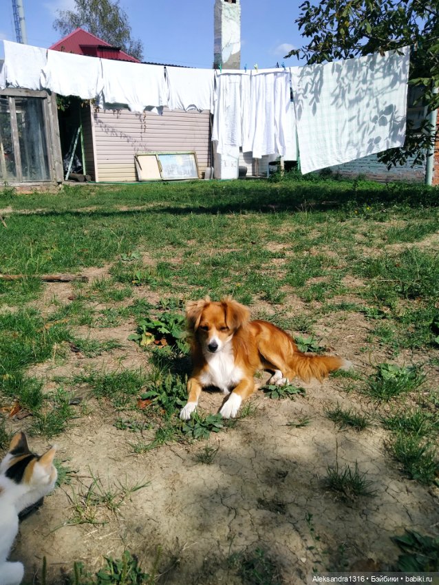 Просто Маня🐶 — Болталка и разговоры обо всем: жизнь (фото 8)