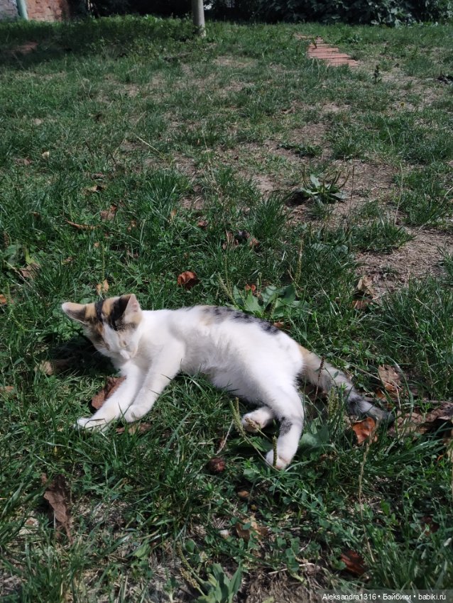 Просто Маня🐶 — Болталка и разговоры обо всем: жизнь