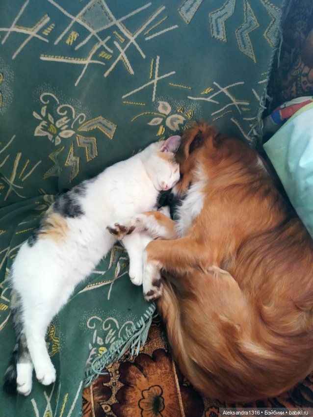 Просто Маня🐶 — Болталка и разговоры обо всем: жизнь