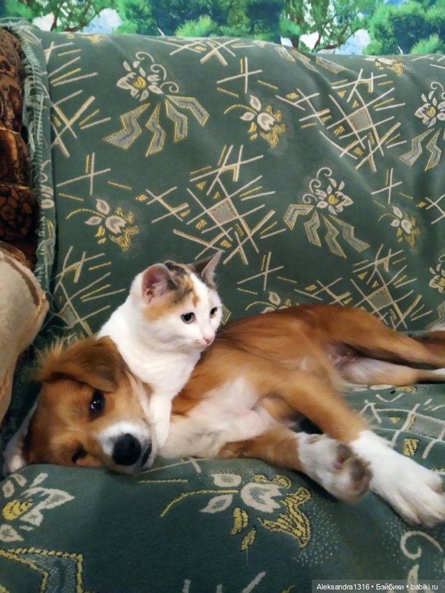 Просто Маня🐶 — Болталка и разговоры обо всем: жизнь