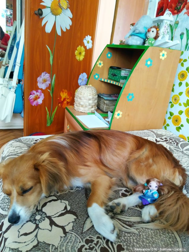 Просто Маня🐶 — Болталка и разговоры обо всем: жизнь (фото 3)