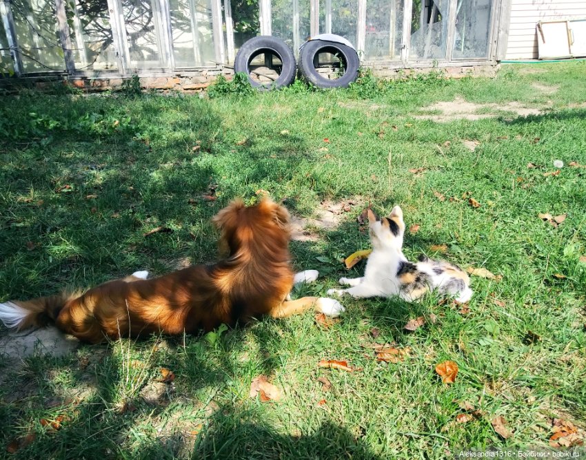 Просто Маня🐶 — Болталка и разговоры обо всем: жизнь (фото 7)