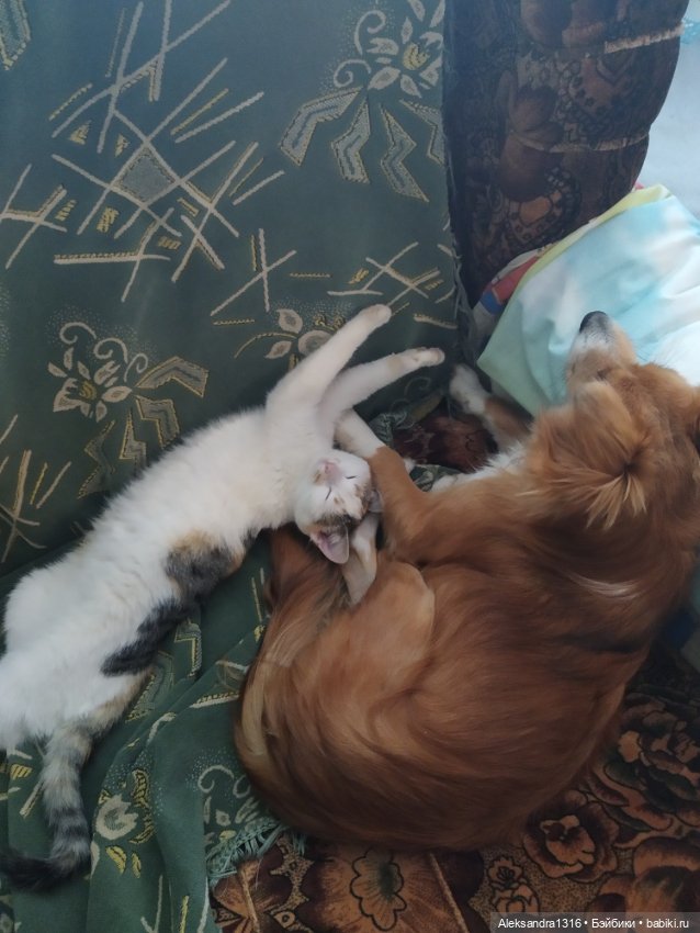 Просто Маня🐶 — Болталка и разговоры обо всем: жизнь