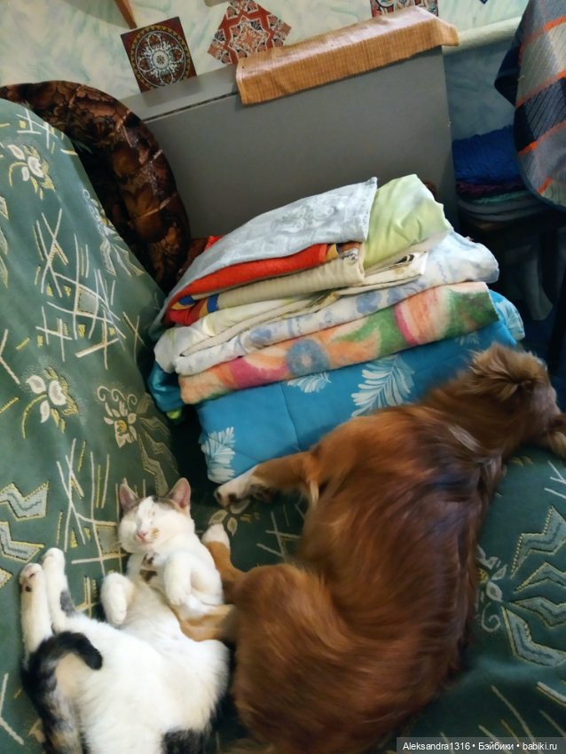 Просто Маня🐶 — Болталка и разговоры обо всем: жизнь