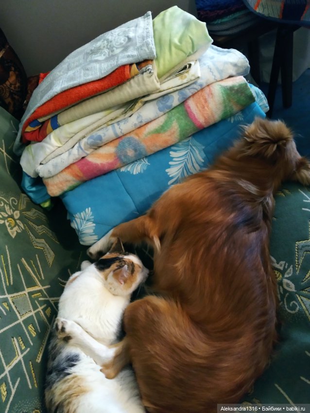 Просто Маня🐶 — Болталка и разговоры обо всем: жизнь