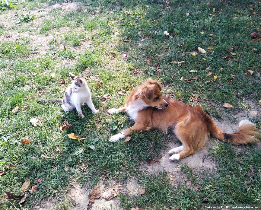 Просто Маня🐶 — Болталка и разговоры обо всем: жизнь