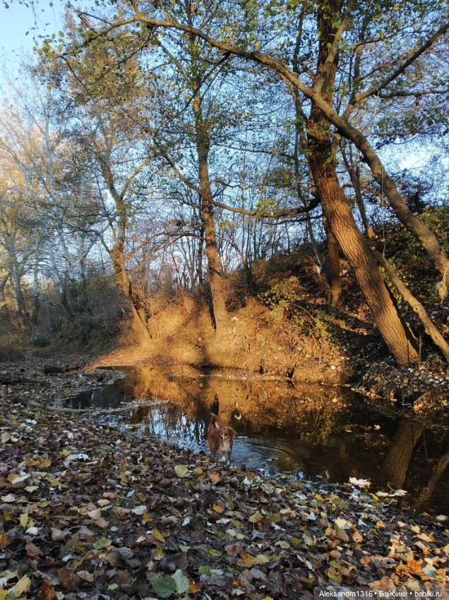 Просто Маня🐶 — Болталка и разговоры обо всем: жизнь