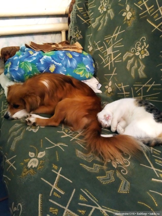 Просто Маня🐶 — Болталка и разговоры обо всем: жизнь