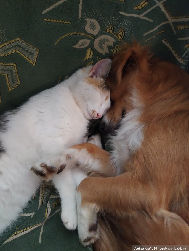 Просто Маня🐶 — Болталка и разговоры обо всем: жизнь