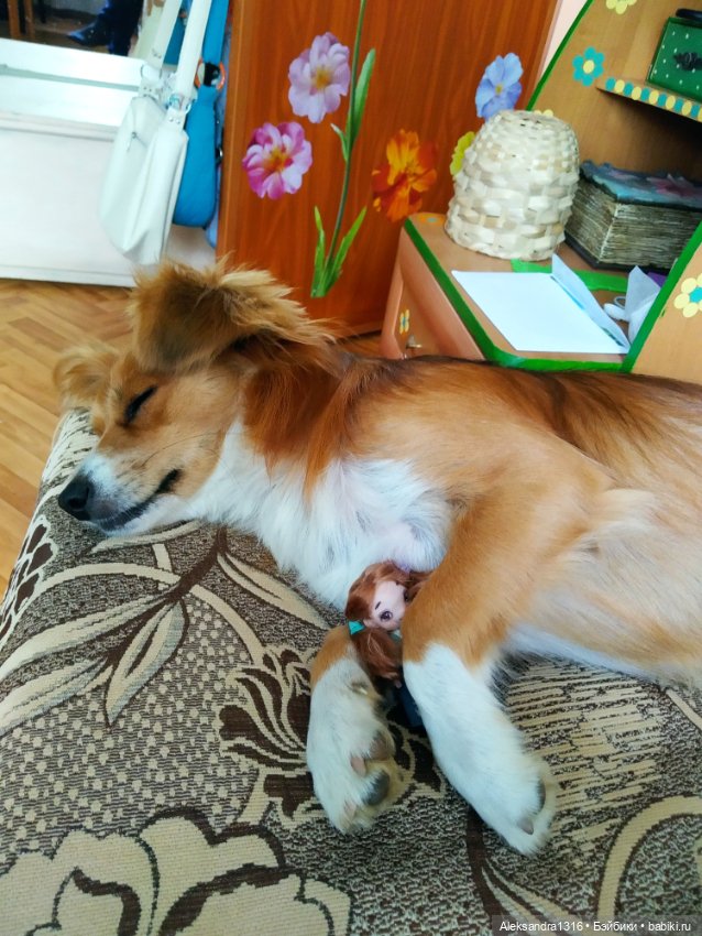 Просто Маня🐶 — Болталка и разговоры обо всем: жизнь