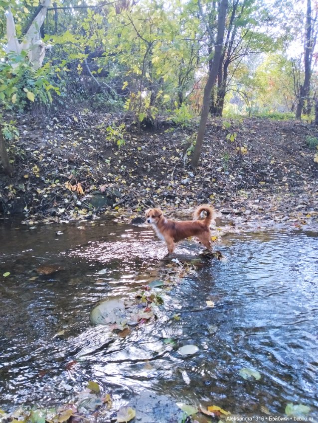 Просто Маня🐶 — Болталка и разговоры обо всем: жизнь