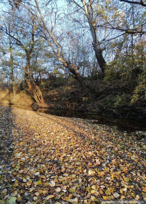 Просто Маня🐶 — Болталка и разговоры обо всем: жизнь