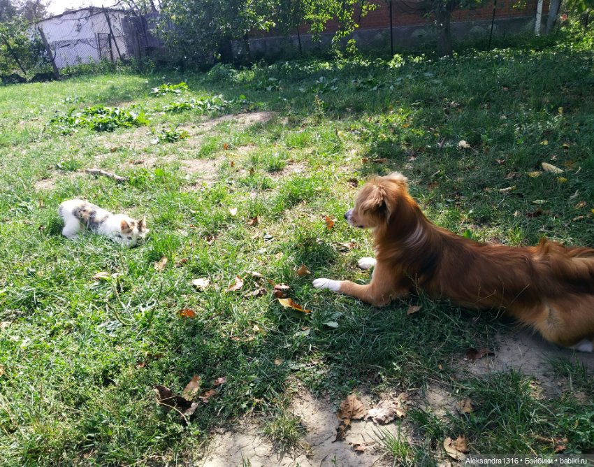 Просто Маня🐶 — Болталка и разговоры обо всем: жизнь