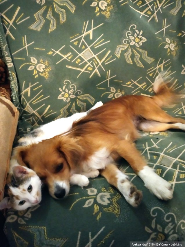 Просто Маня🐶 — Болталка и разговоры обо всем: жизнь