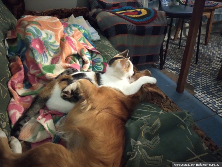 Просто Маня🐶 — Болталка и разговоры обо всем: жизнь