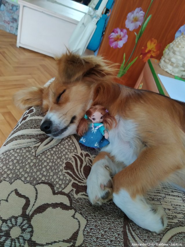 Просто Маня🐶 — Болталка и разговоры обо всем: жизнь (фото 2)