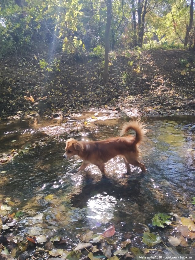 Просто Маня🐶 — Болталка и разговоры обо всем: жизнь
