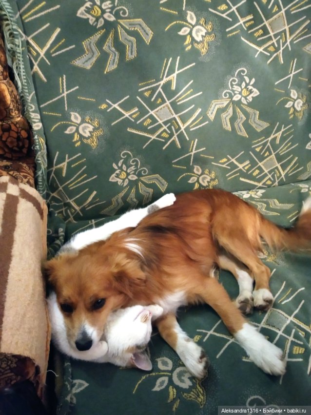 Просто Маня🐶 — Болталка и разговоры обо всем: жизнь