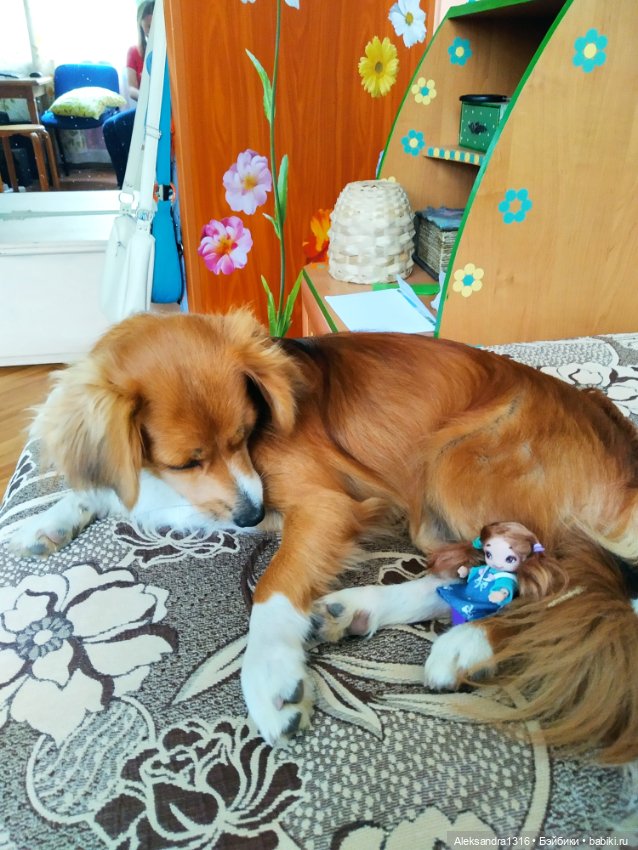 Просто Маня🐶 — Болталка и разговоры обо всем: жизнь (фото 4)