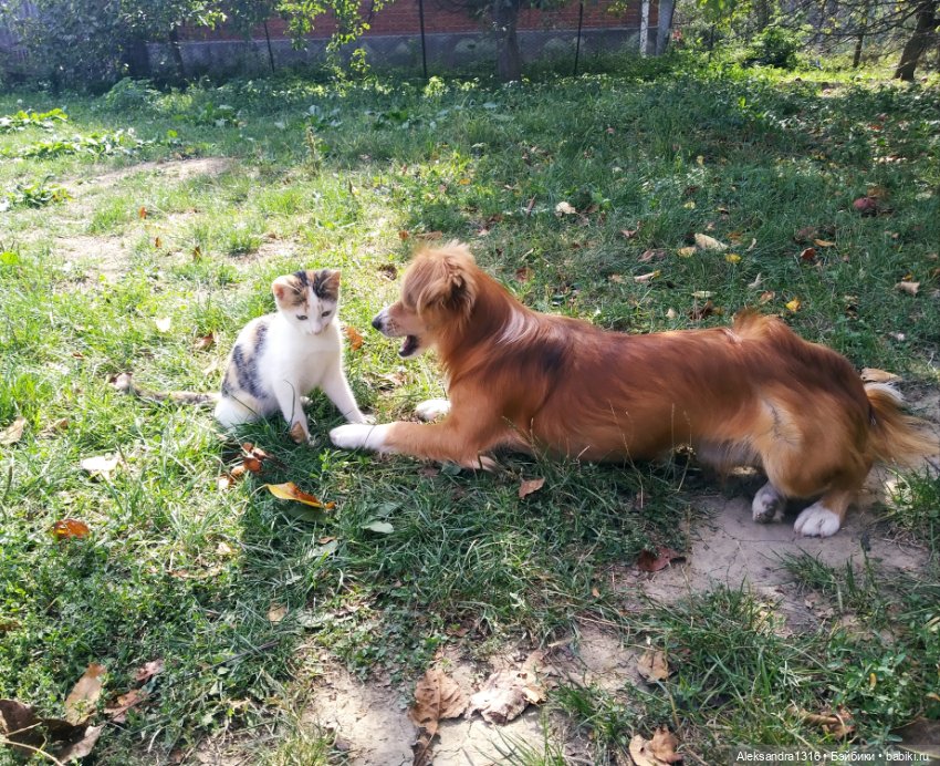 Просто Маня🐶 — Болталка и разговоры обо всем: жизнь