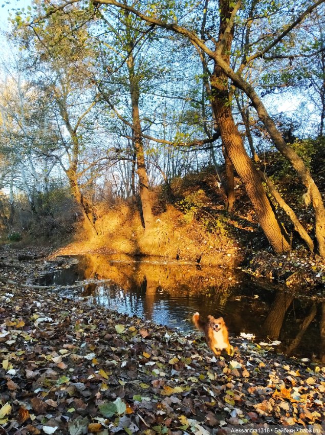 Просто Маня🐶 — Болталка и разговоры обо всем: жизнь