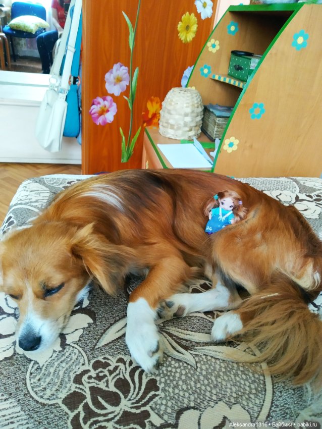 Просто Маня🐶 — Болталка и разговоры обо всем: жизнь (фото 5)