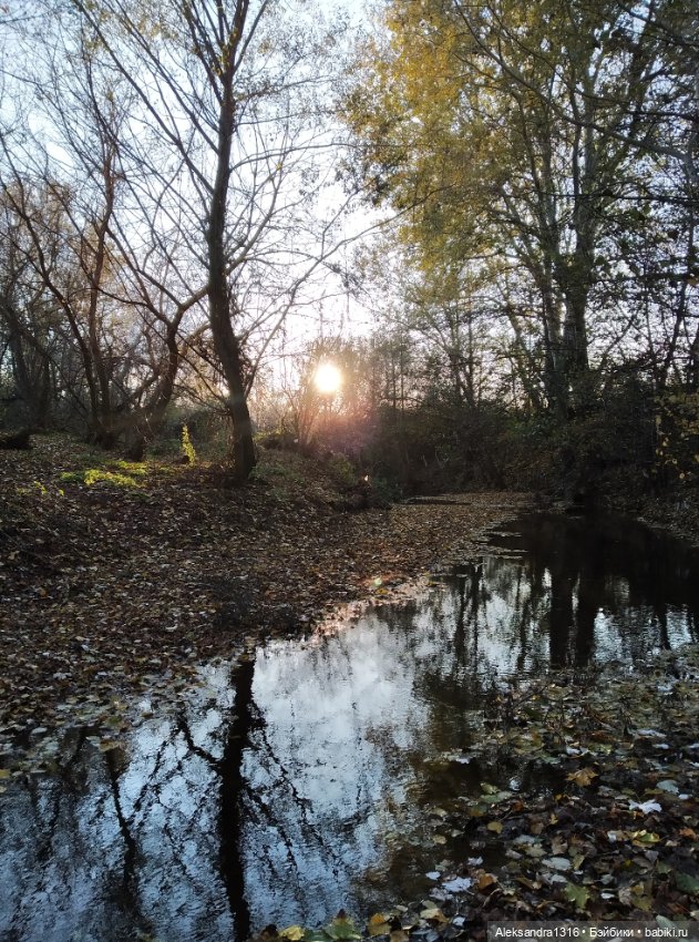 Просто Маня🐶 — Болталка и разговоры обо всем: жизнь