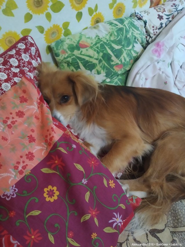 Просто Маня🐶 — Болталка и разговоры обо всем: жизнь