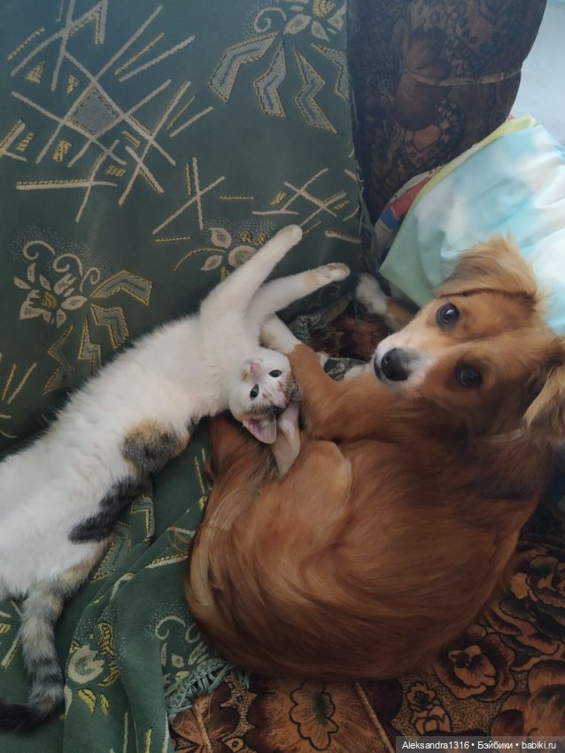 Просто Маня🐶 — Болталка и разговоры обо всем: жизнь