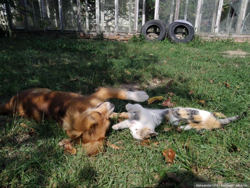 Просто Маня🐶 — Болталка и разговоры обо всем: жизнь (фото 10)