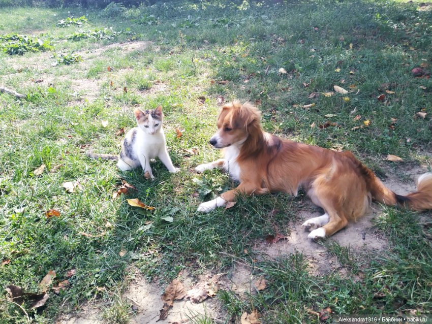 Просто Маня🐶 — Болталка и разговоры обо всем: жизнь