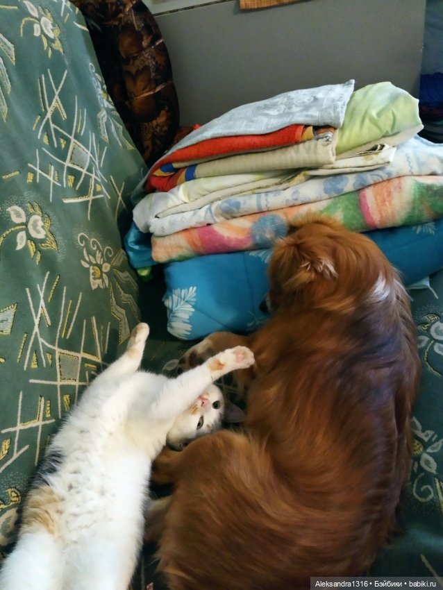 Просто Маня🐶 — Болталка и разговоры обо всем: жизнь