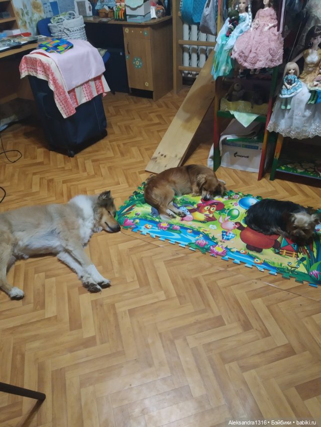 Просто Маня🐶 — Болталка и разговоры обо всем: жизнь