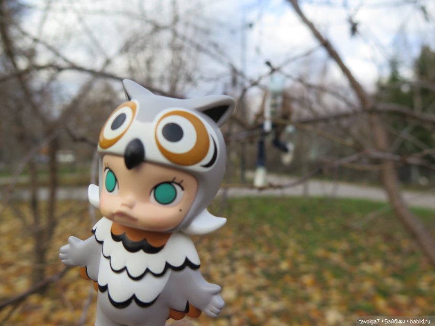 Коломна в солнечный ноябрь