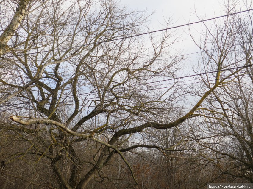 Коломна в солнечный ноябрь