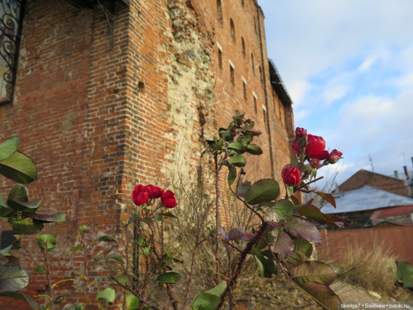 Коломна в солнечный ноябрь