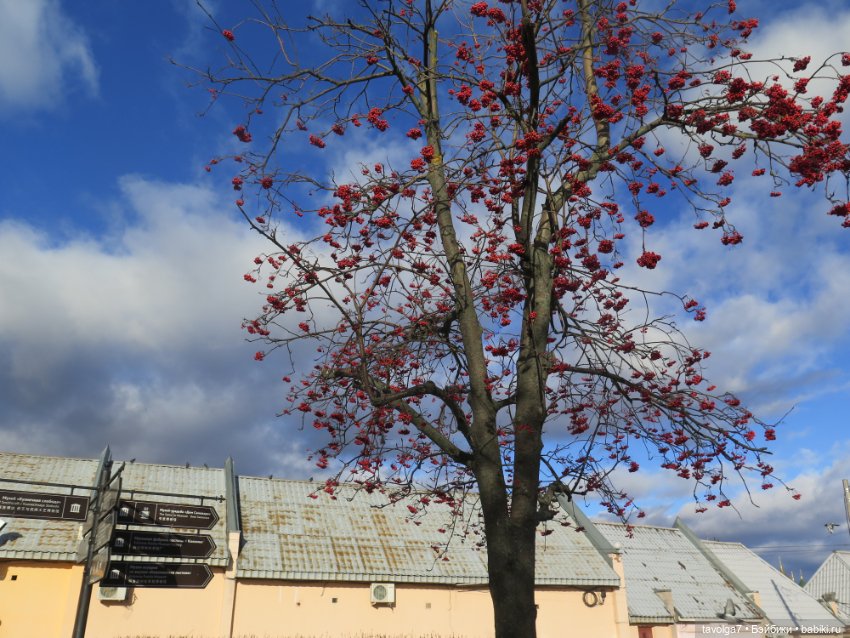 Коломна в солнечный ноябрь (фото 10)