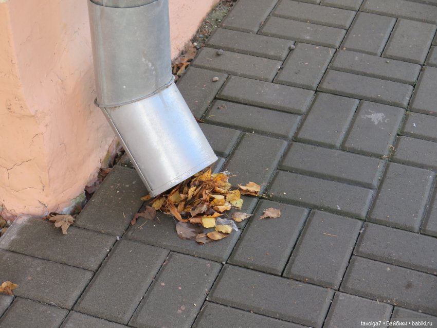 Коломна в солнечный ноябрь (фото 5)