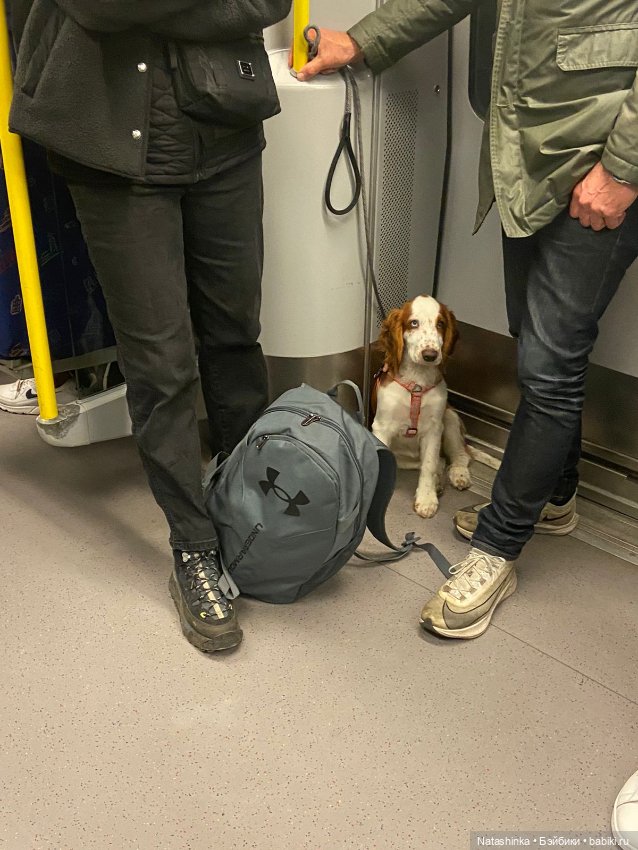 Fashion Dolls 429 — Туризм и путешествия: фотоотчеты из поездок