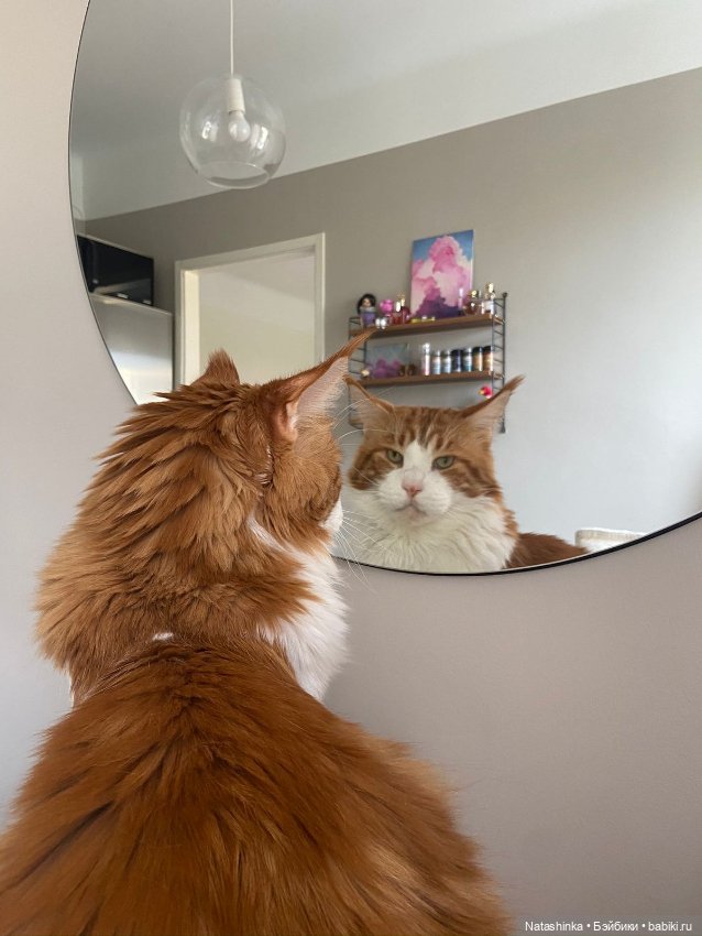 Fashion Dolls 429 — Туризм и путешествия: фотоотчеты из поездок (фото 9)