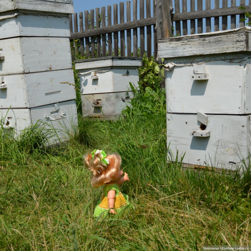 Наташка в деревне. Вспоминая лето (фото 9)