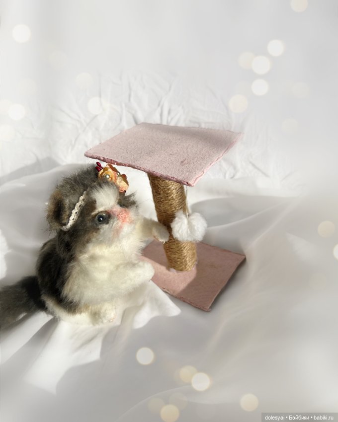 Продолжение про котика отказника